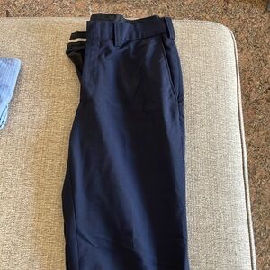 Size 34 Blue Dress Pants
